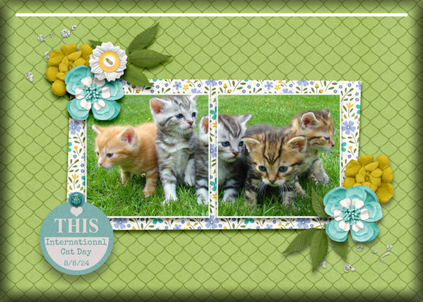 ATC 2024-028 International Cat Day