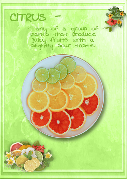 ATC 2024-030 Citrus