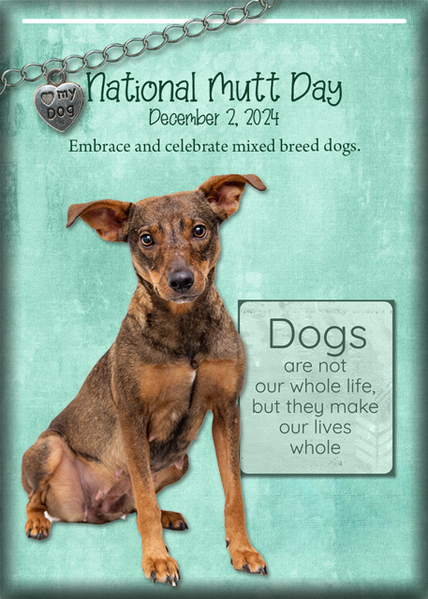 ATC 2024-052 National Mutt Day
