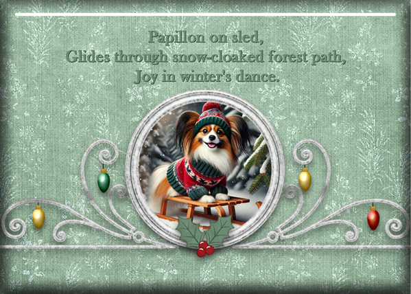 ATC 2024-055 Papillon on Sled