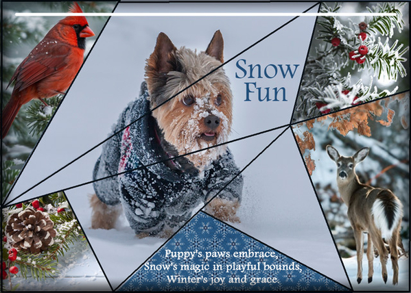 ATC 2025-002 Snow Fun