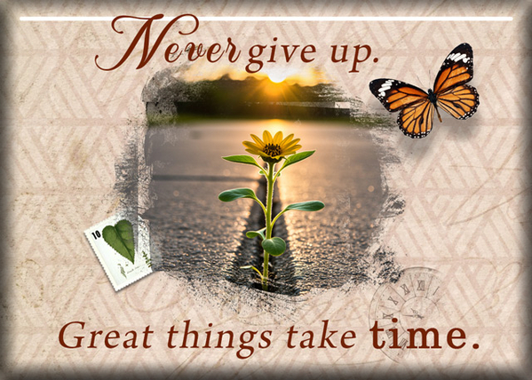 ATC 2025-017 Never Give Up