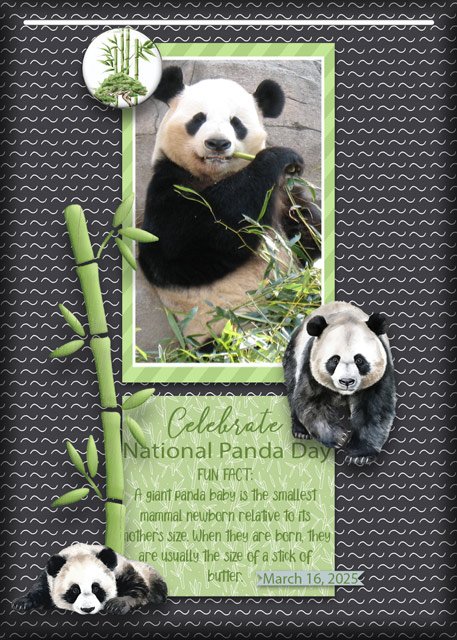 ATC-2025-023-Celebrate-National-Panda-Day.jpg