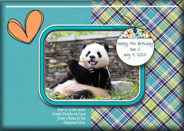 ATC-2025-076-Happy-4th-Birthday,-Bao-Li.jpg