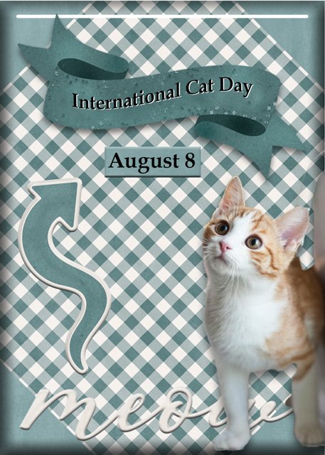 ATC-2025-081-International-Cat-Day