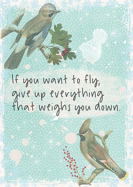 ATC July20 Bird