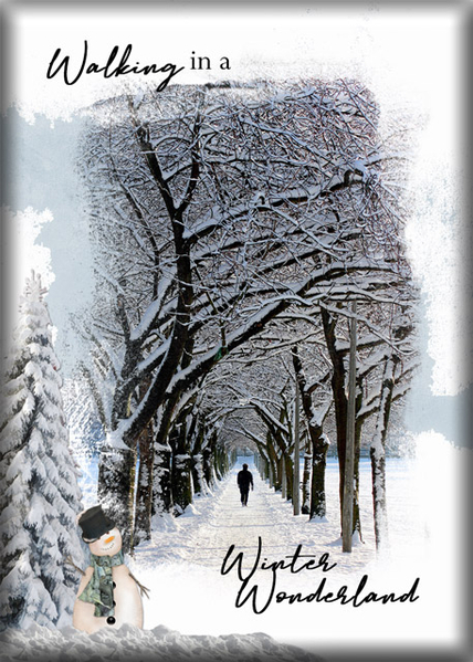ATC2020-165 Walking in a Winter Wonderland