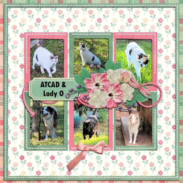 ATCAD May 2023