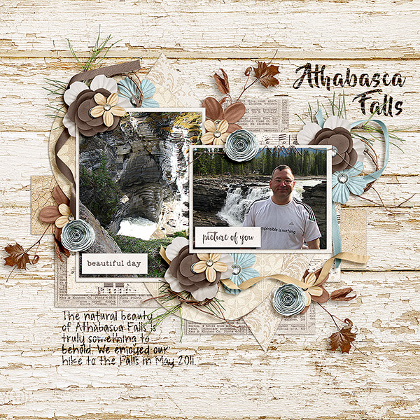 Athabasca Falls