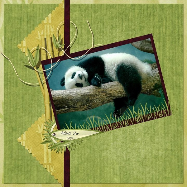 Atlanta Zoo