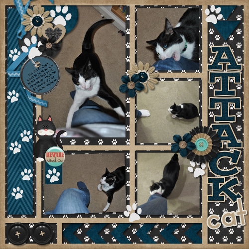 Attack Cat