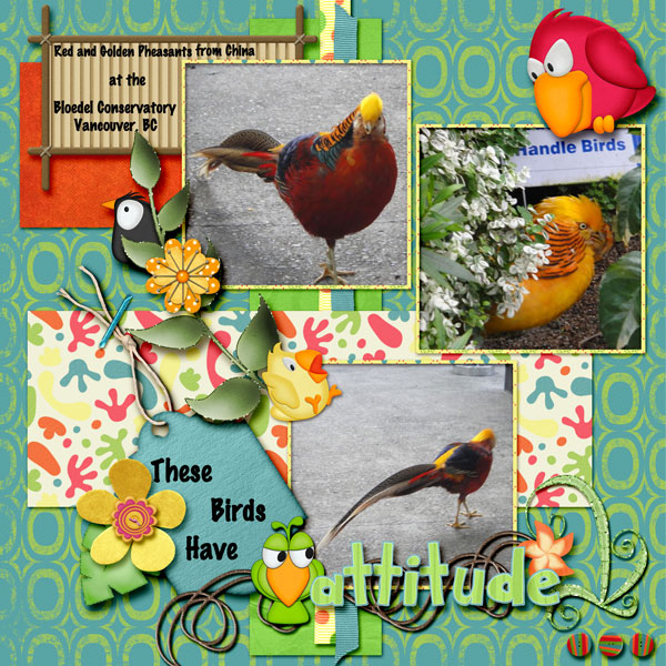 Attitude-Birds