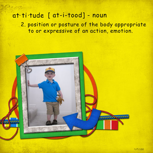 Attitude