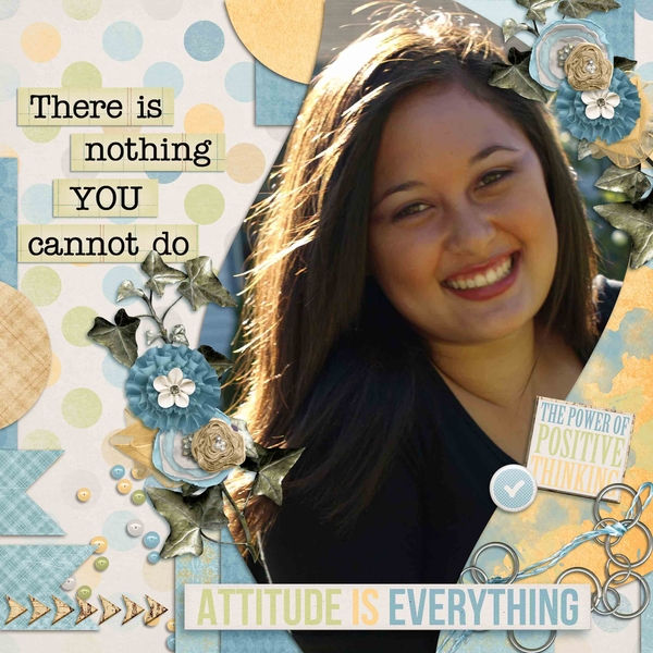 Attitude