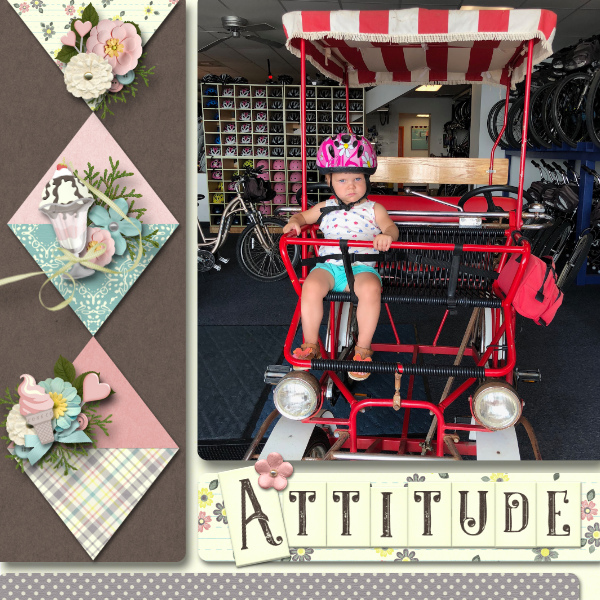 Attitude