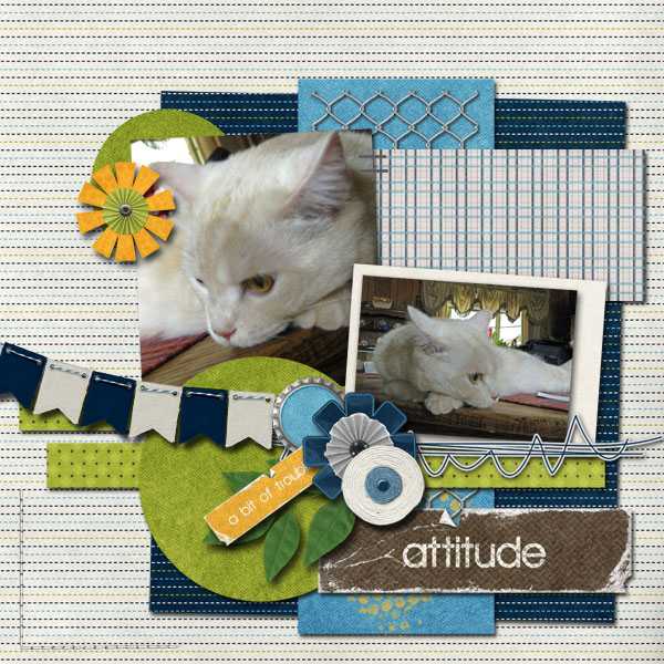 Attitude