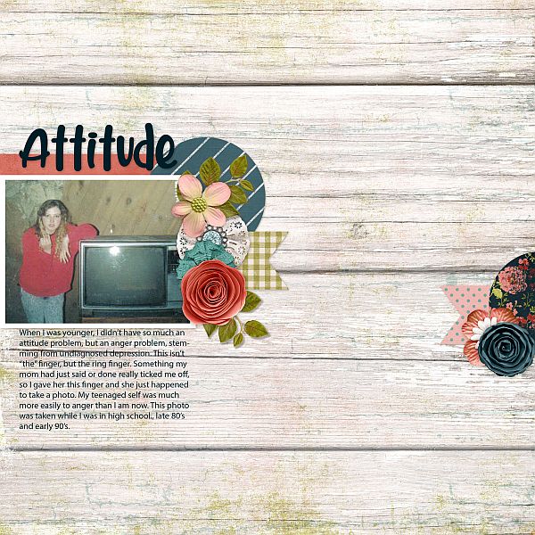 Attitude