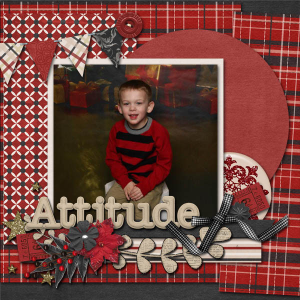 Attitude