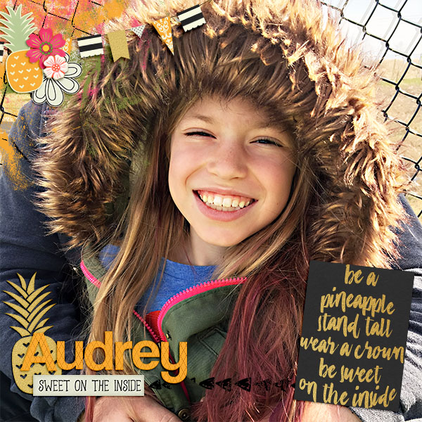 Audrey_Pineapple_BigMemories1_Vol5