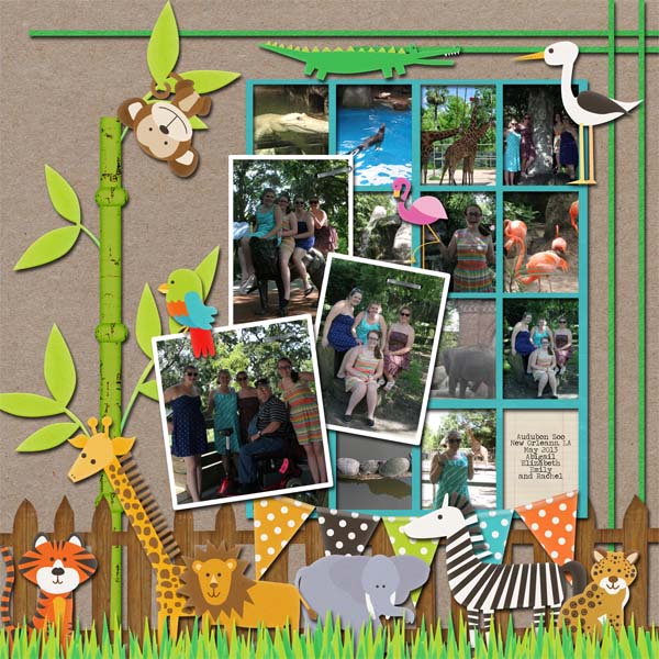 Audubon Zoo - New Orleans