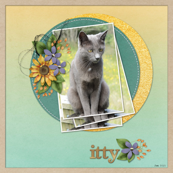 AUG 24 TC1: Itty