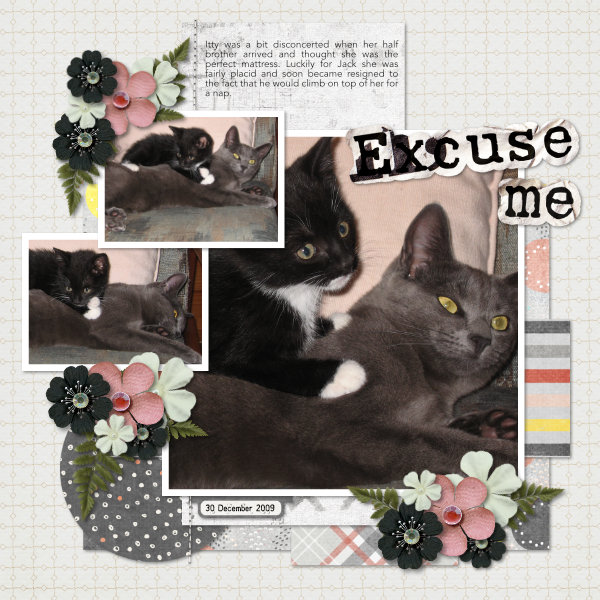 AUG 24 TC2: Excuse Me