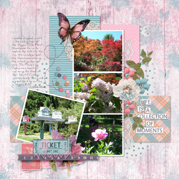 Aug24 Colour