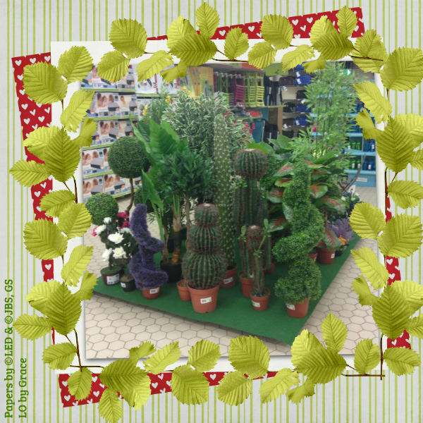 Aug_Mix_it_up_ccg