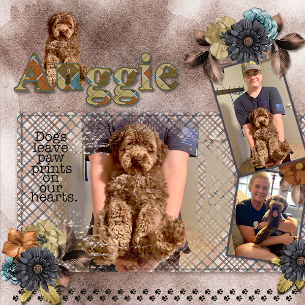 Auggie