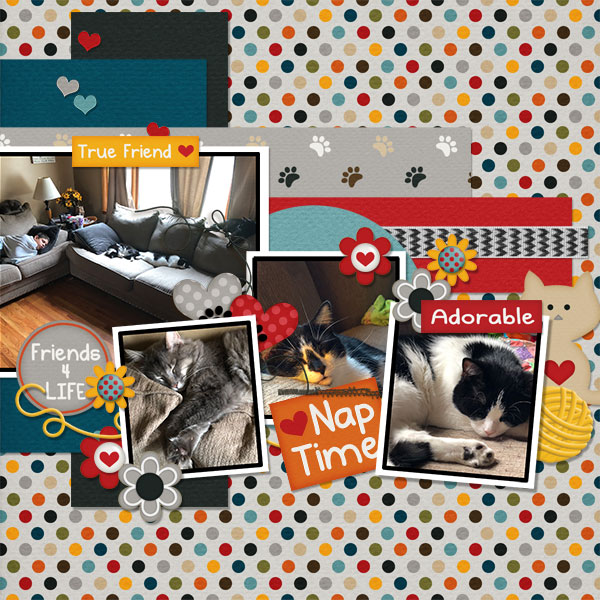 August 2019 Inspiration Challenge