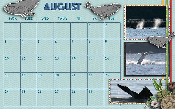 August 2020 Desktop