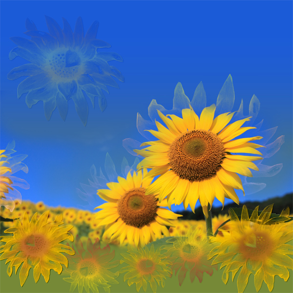 August 2021 - Brush Challenge with Alexis Design Studio