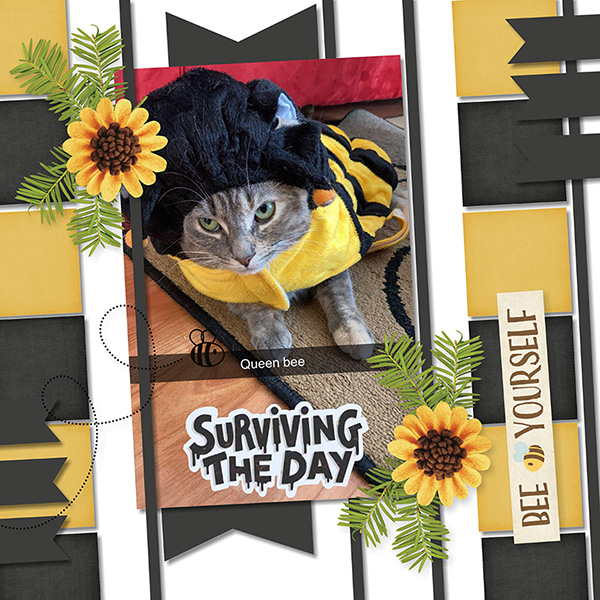 August 2022 Template Challenge