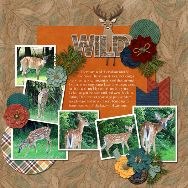 August 2023 Template Bundle - Outdoors Hunting