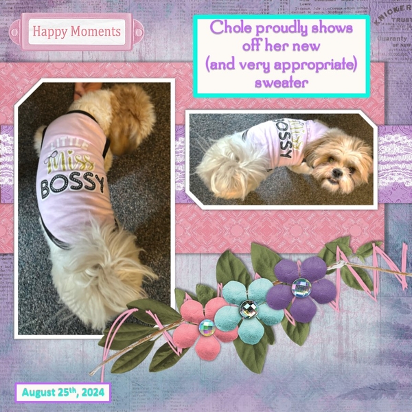 August 2024 Color Challenge