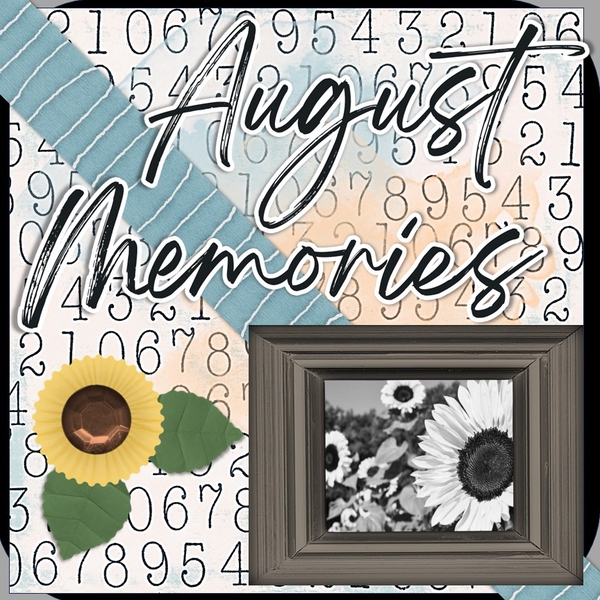 August 2024 Photography Challenge