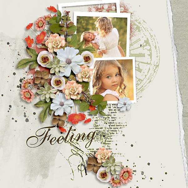 August Feeling-Bundle