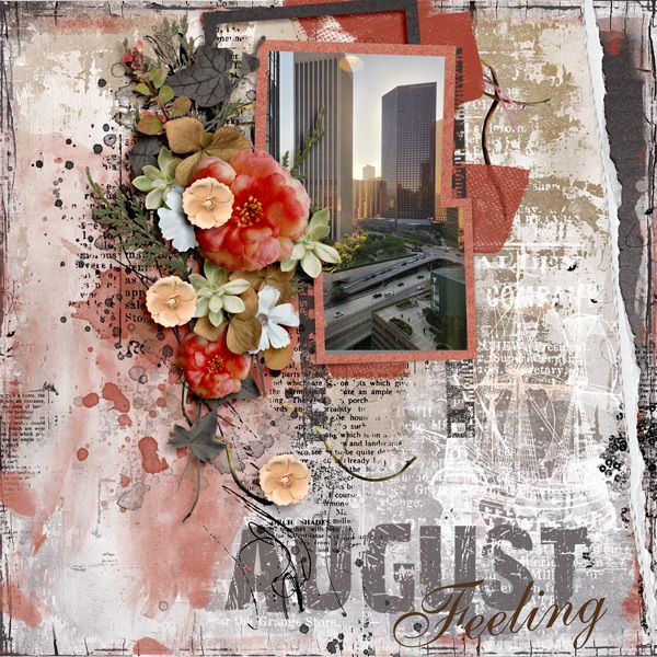 August Feeling