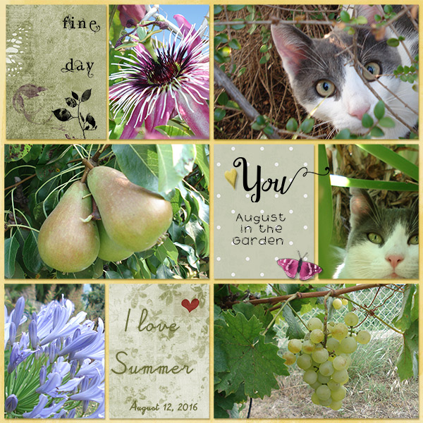 August in the Garden