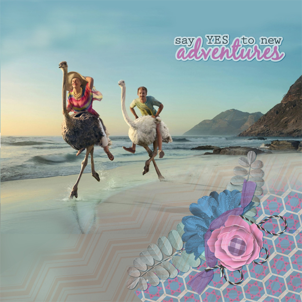 August Mini Kit Challenge with Polka Dot Chicks
