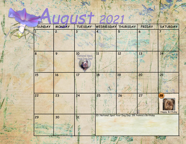 August Sum-Up Calendar