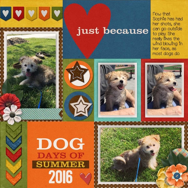 August Template Bundle - Project 2015 August