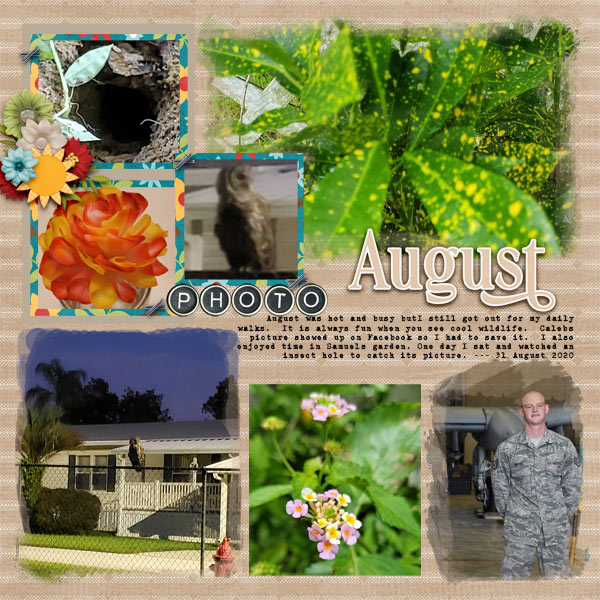August Wrap Up 2020