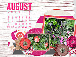 August7