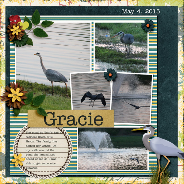 August_2015_2