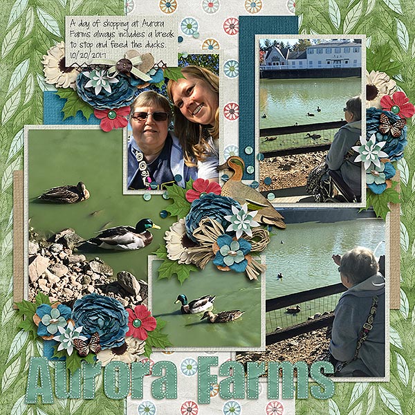 Aurora Farms