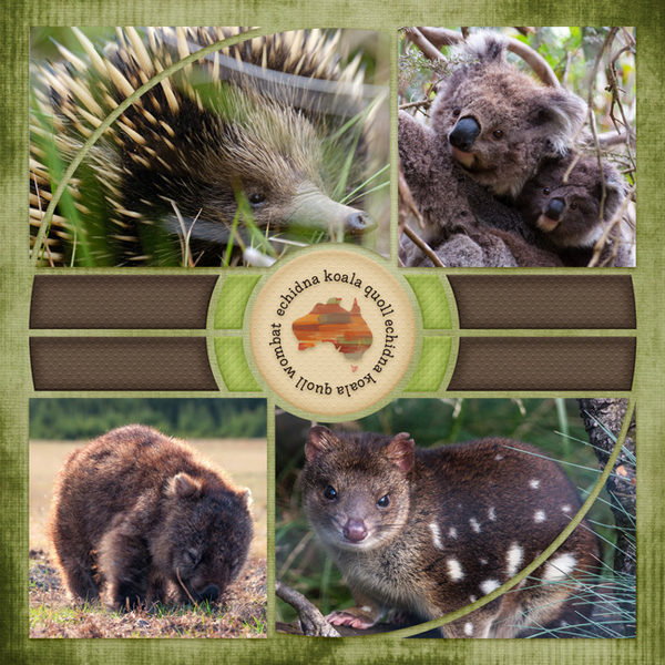 AussieanimalsCompass-3WEBSMALL
