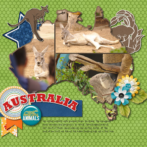 Australia Amazing Animals