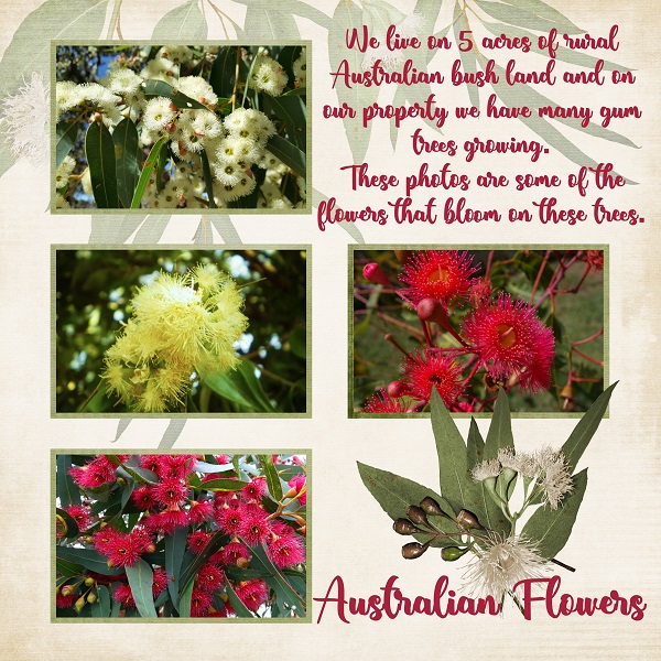 Australian Flowers