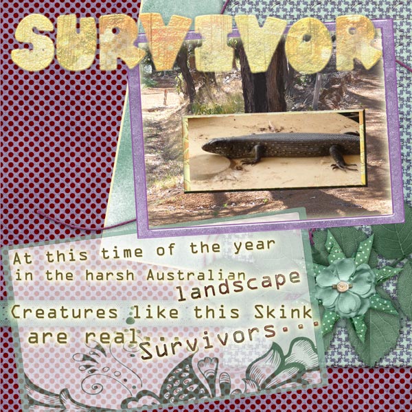 Australian Survivor